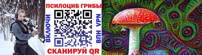 Псилоцибиновые грибы мицелий  Устюжна 